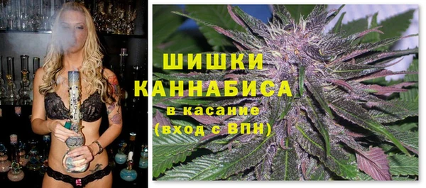 дурь Нея