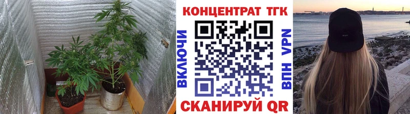 Купить где  Алексеевка  Дистиллят ТГК THC oil 