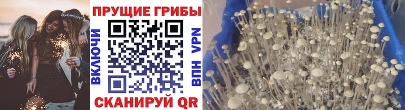 Галлюциногенные грибы MAGIC MUSHROOMS  Купить  Алексеевка 